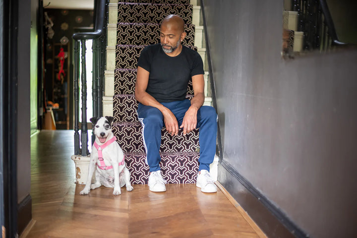 Hindquarters Pink Dog Harness