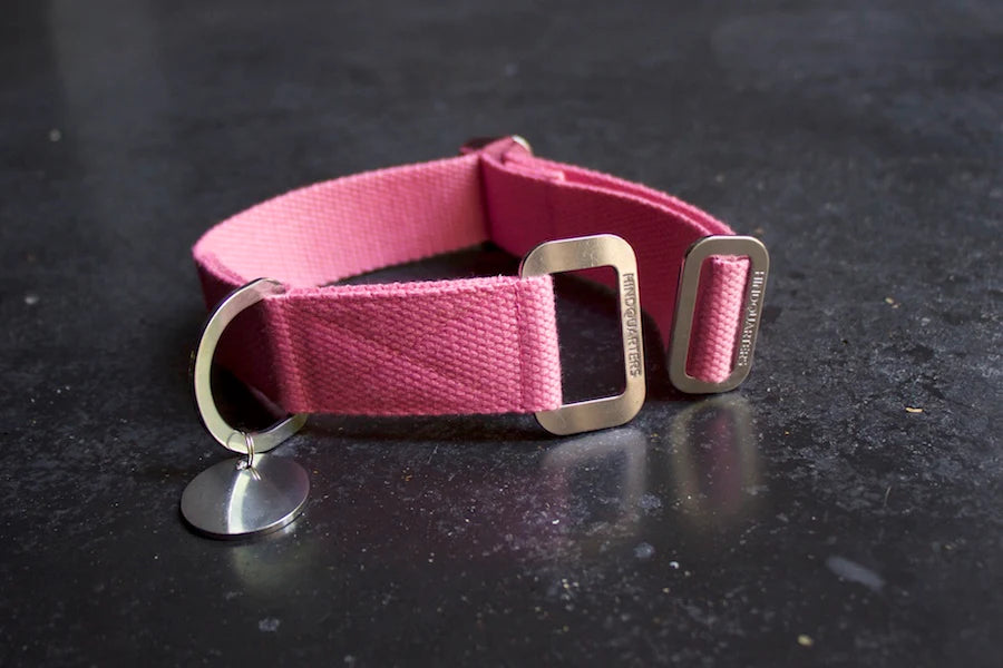Hindquarters Pink Dog Collar