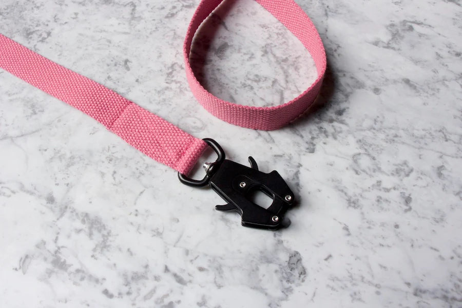 Hindquarters Pink Lead