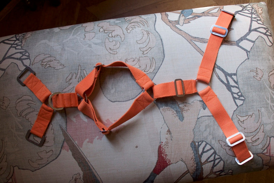 Hindquarters Orange Dog Harness