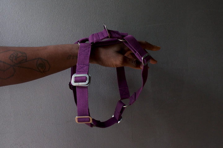 Hindquarters Plum Dog Harness
