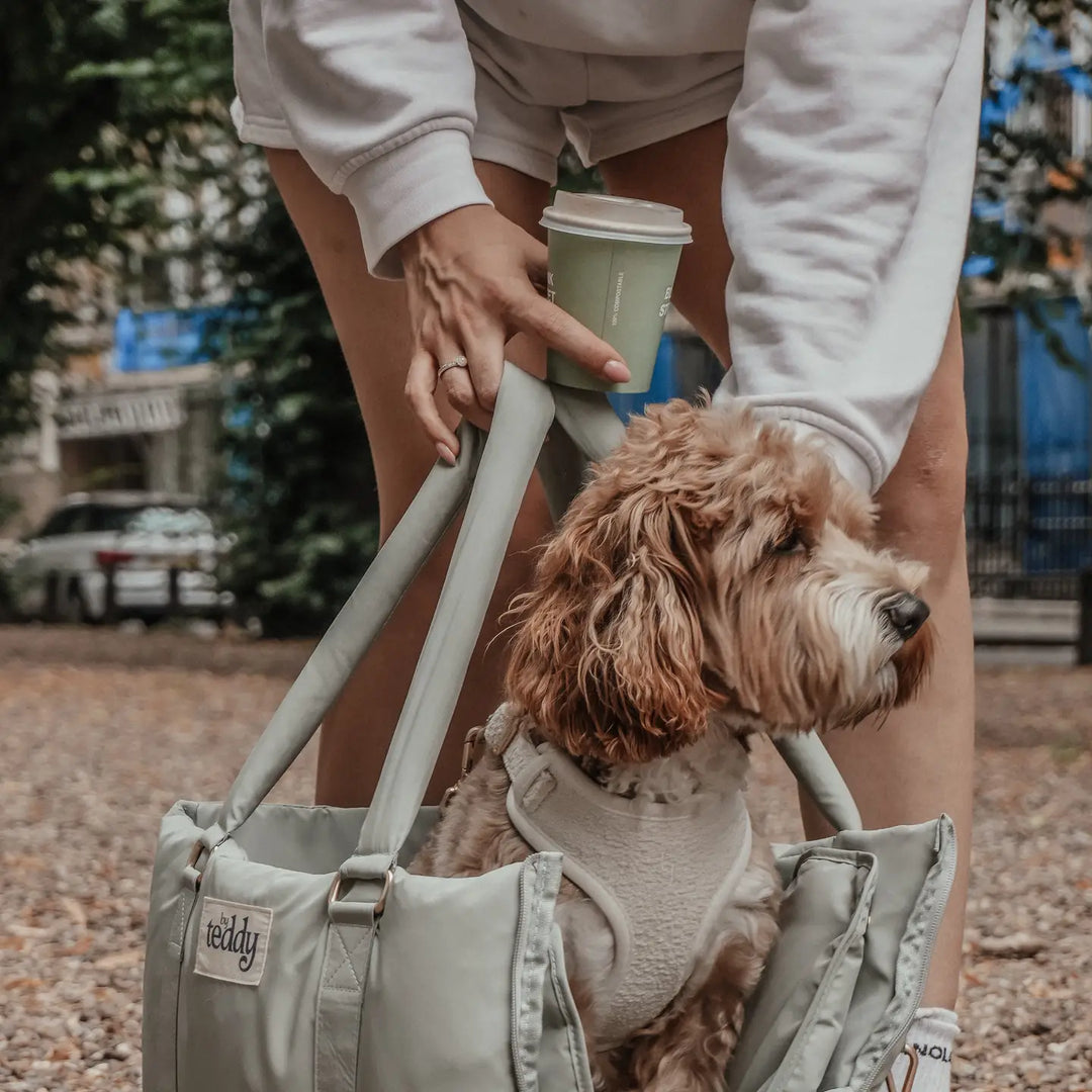 ByTeddy Matcha┃the Puffer Carrier