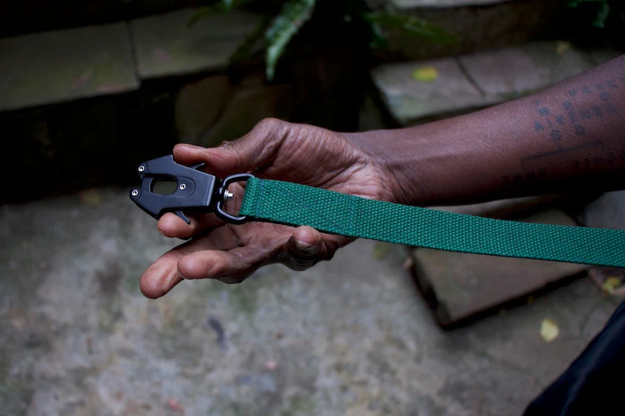 Hindquarters Green Lead