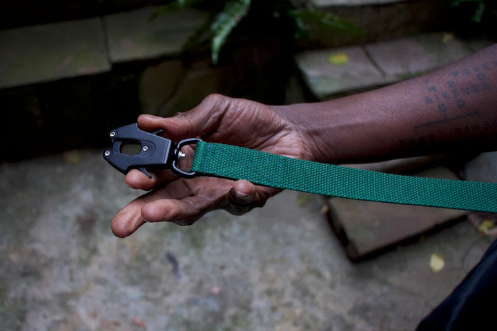 Hindquarters Green Lead