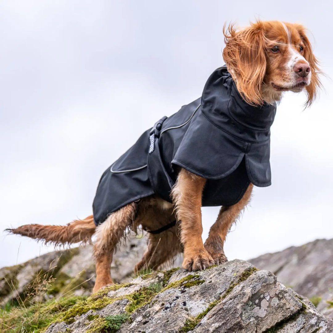 Rain-Defender Dog Coat | Black Waterproof Softshell Dog Coat