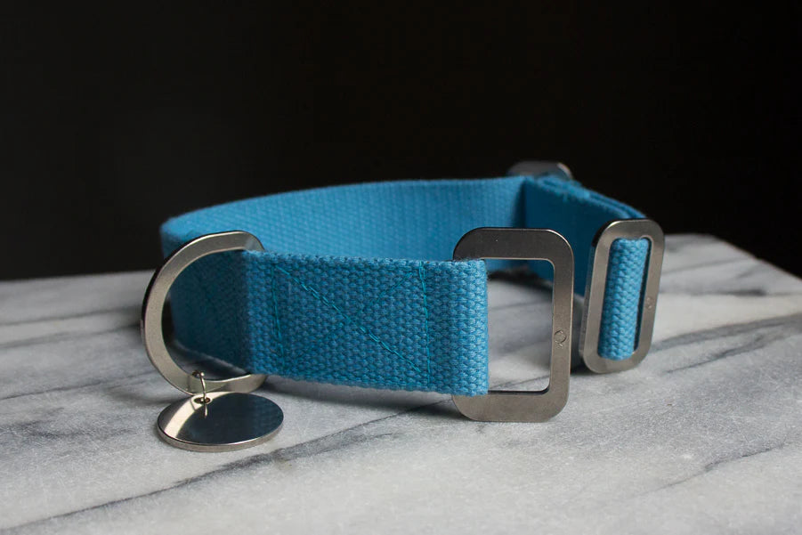 Hindquarters Sky Blue Dog Collar