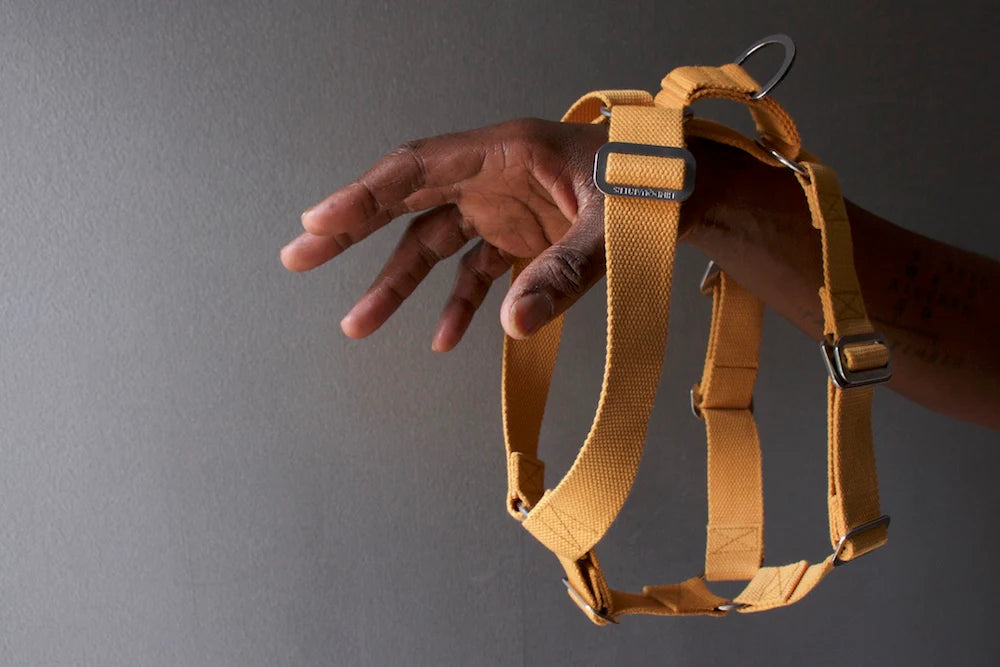 Hindquarters Mustard Dog Harness