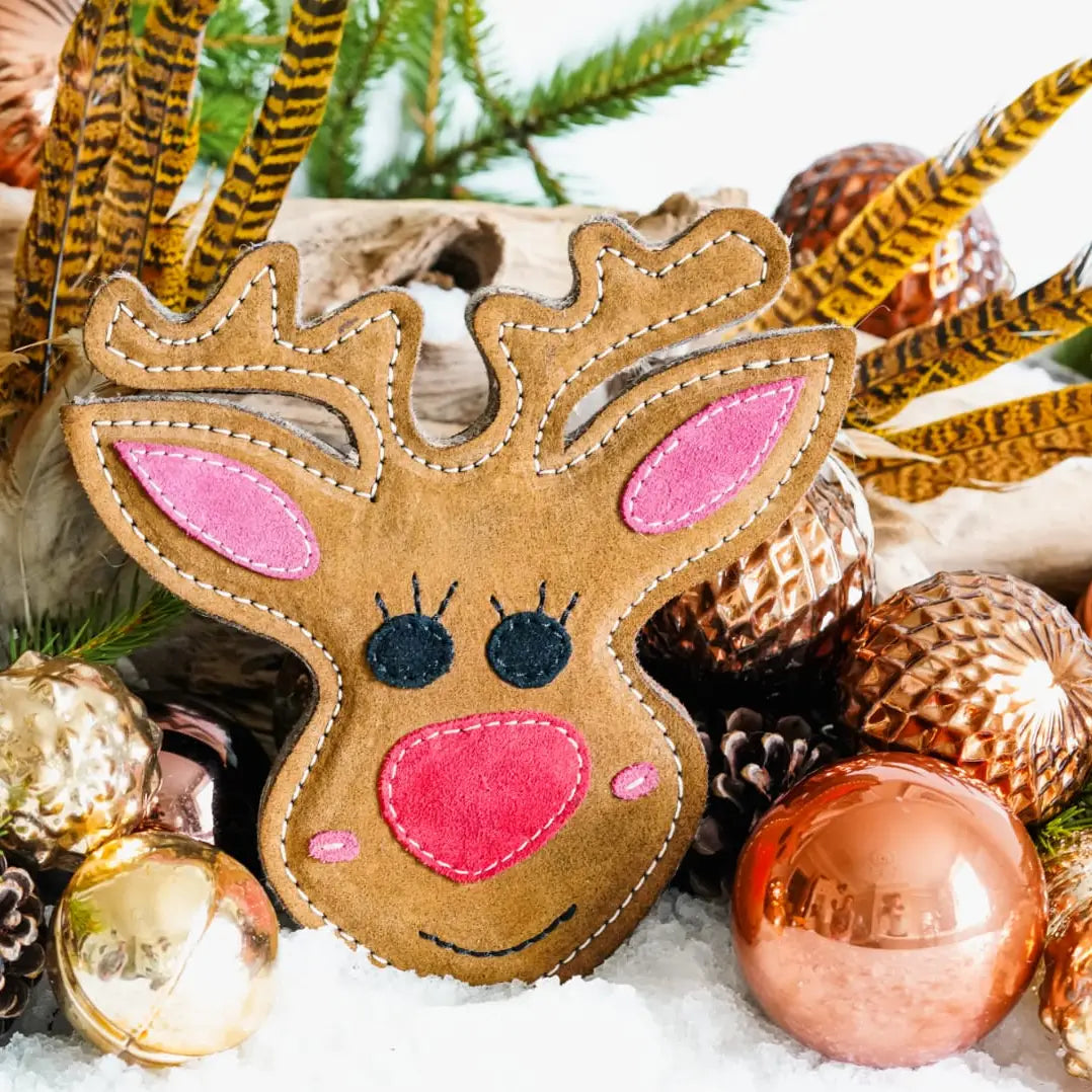 Rudy the Reindeer Christmas Eco Dog Toy