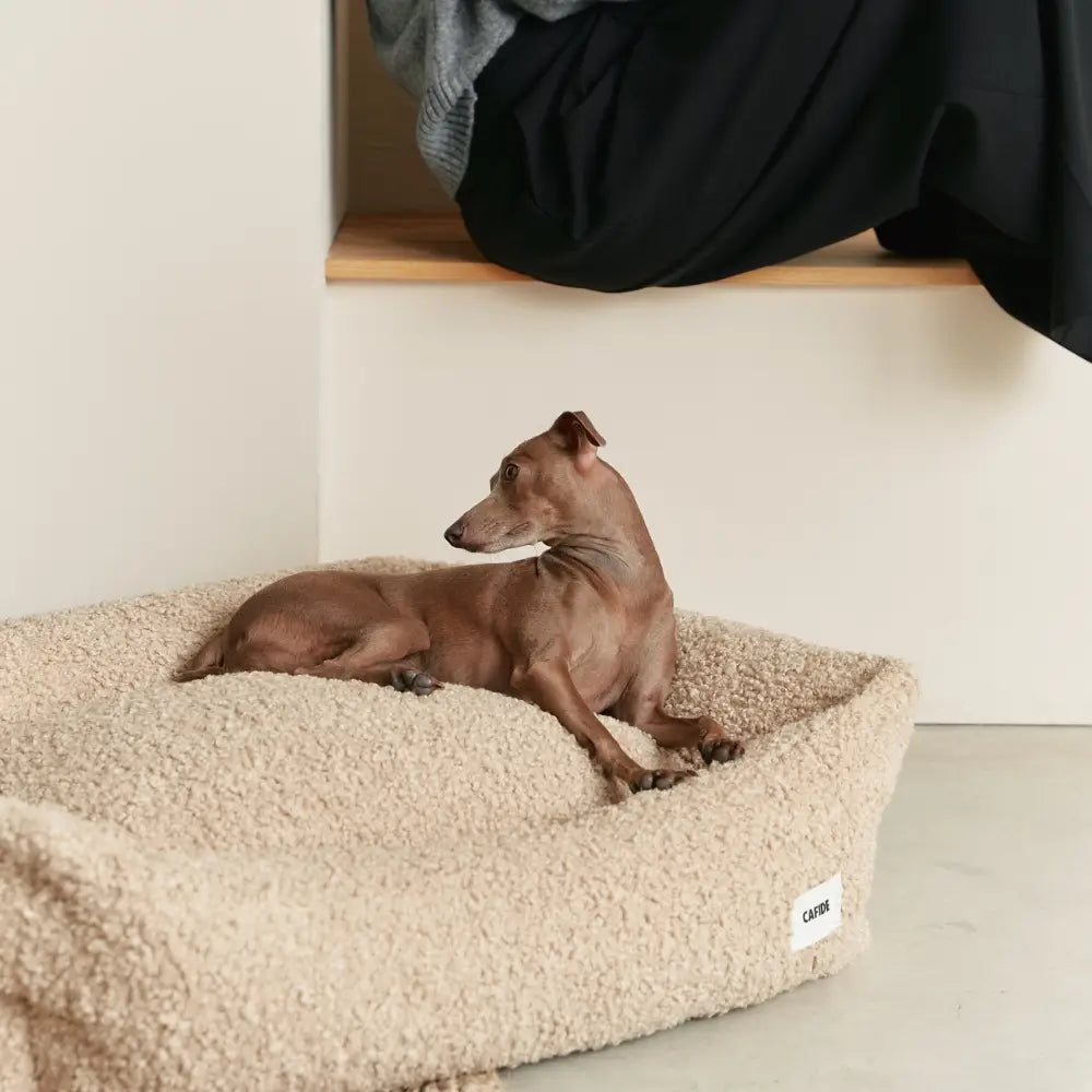 Beige Sheepdog Bed, Snozy Small