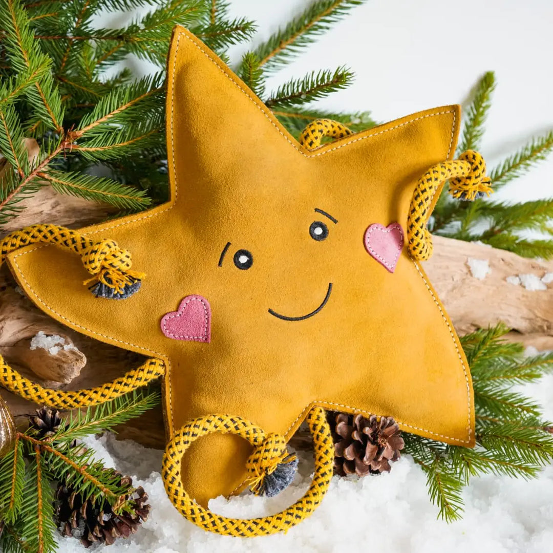 Star XL Dog and Horse Eco Toy