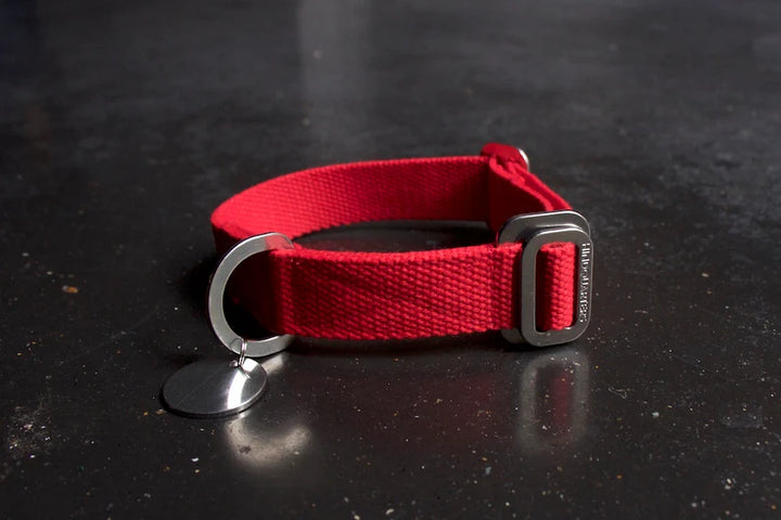 Hindquarters Red Dog Collar