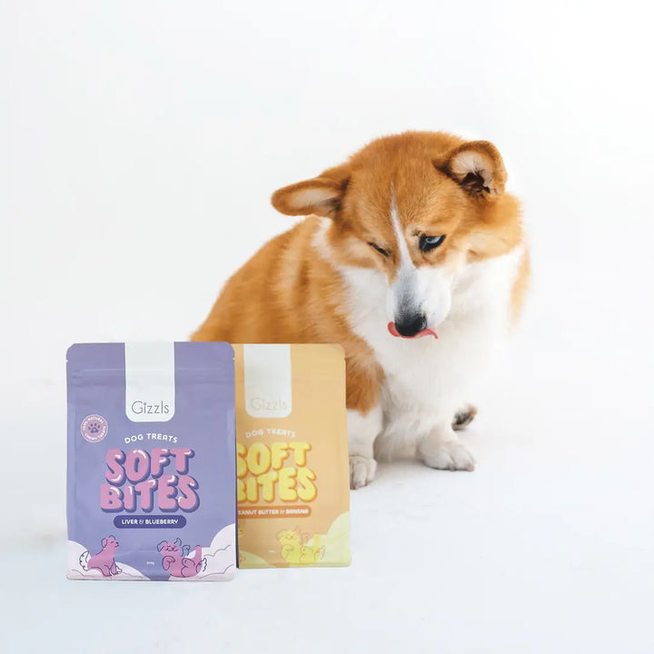 Gizzls - Soft Bites Liver & Blueberry - 300g