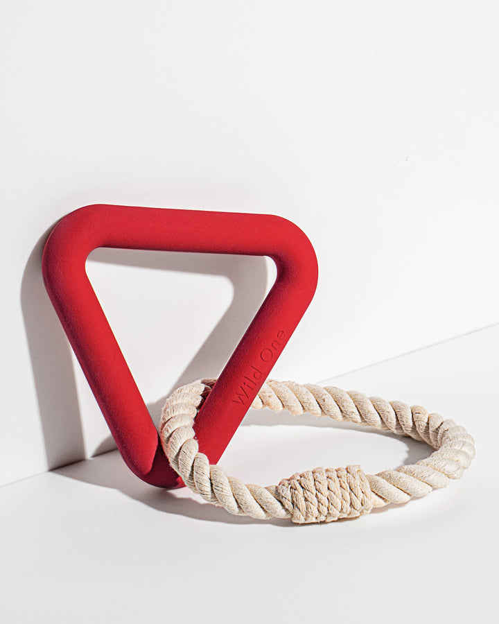 Wild One - Triangle Tug Dog Chew Toy: STANDARD