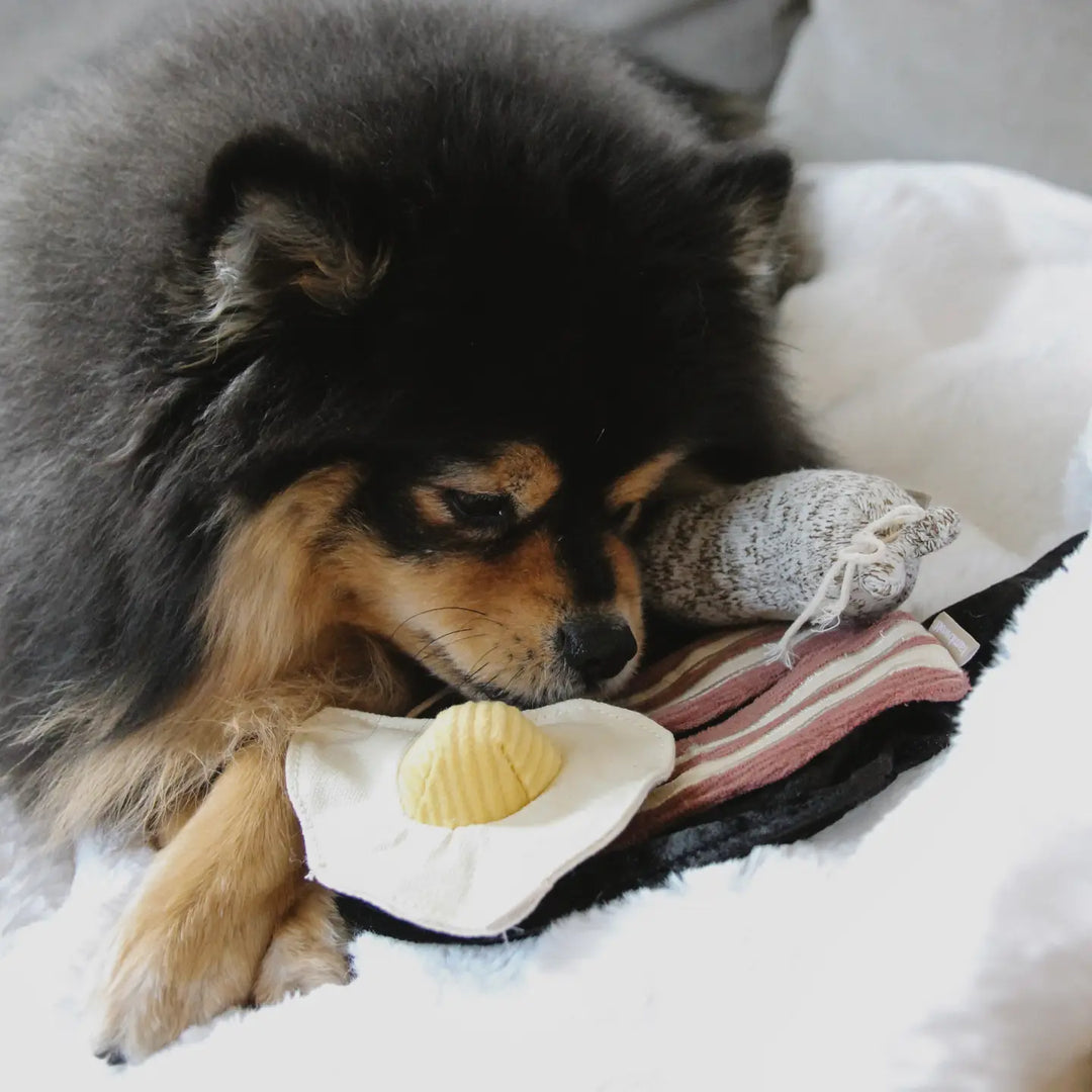 Breakfast Set //Enrichment Dog Toy