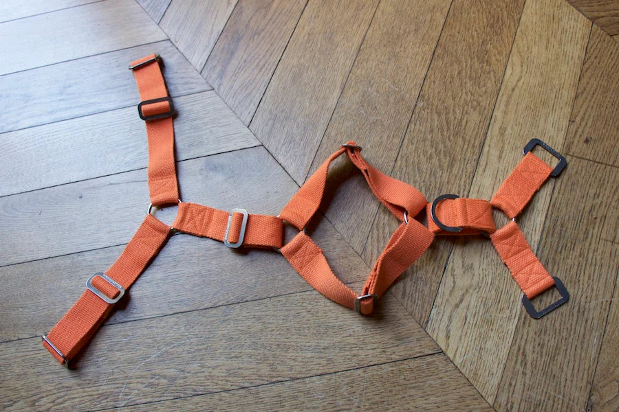 Hindquarters Orange Dog Harness