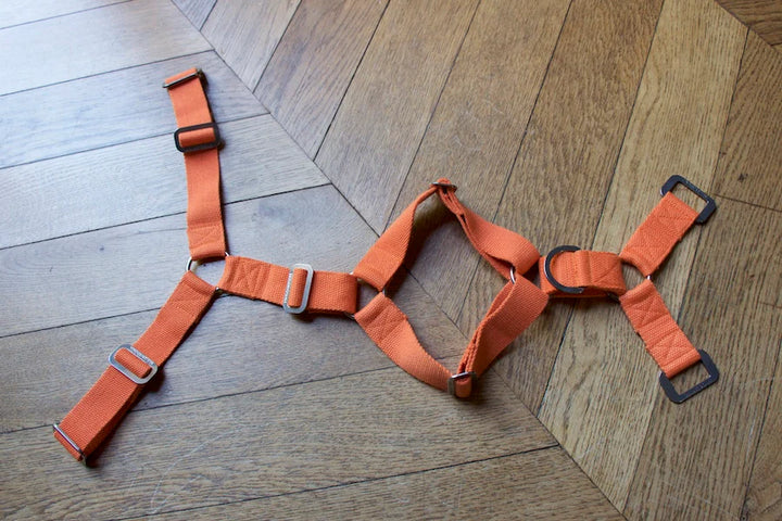 Hindquarters Orange Dog Harness