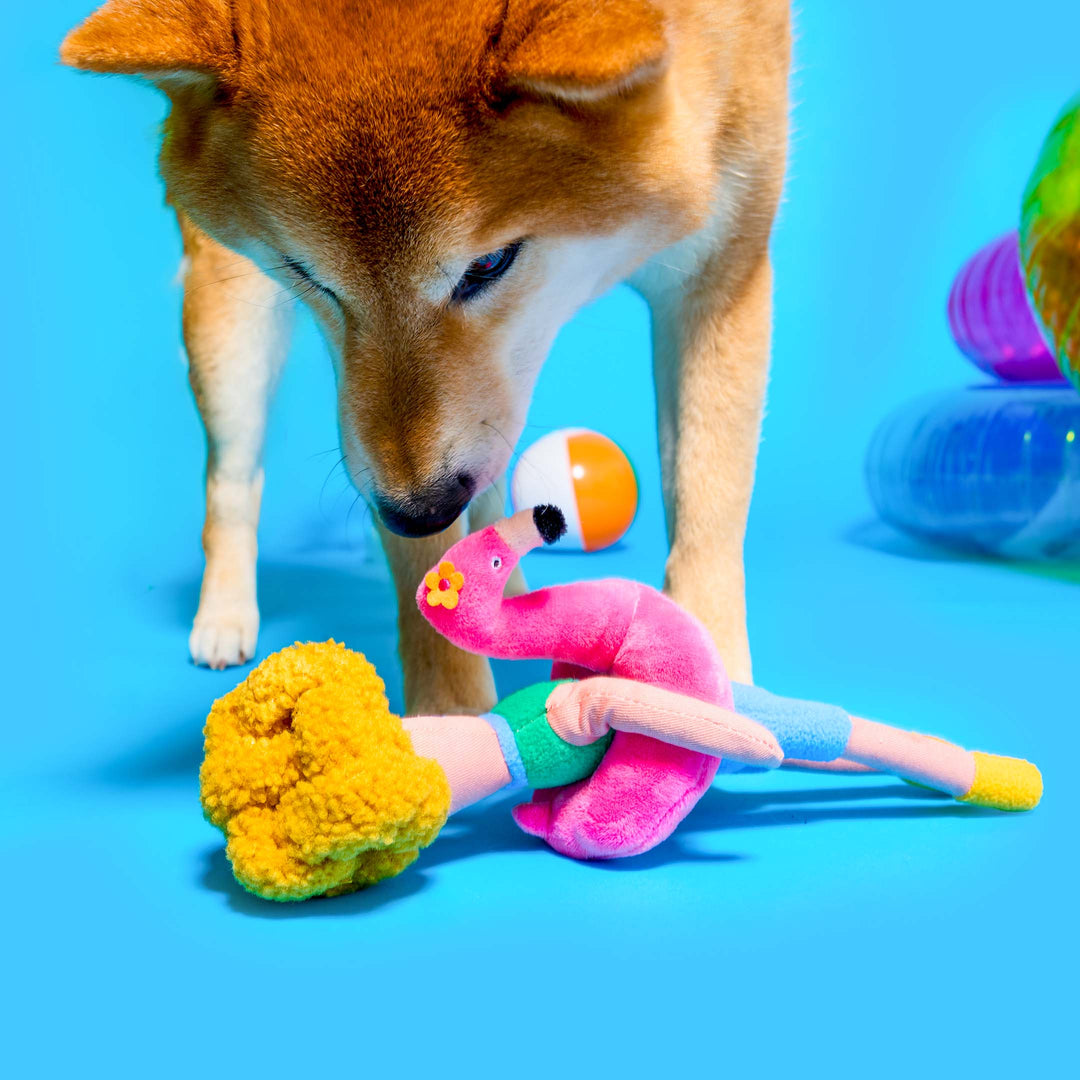 The Furry Folks - Flamingo Hooman Nosework Toy