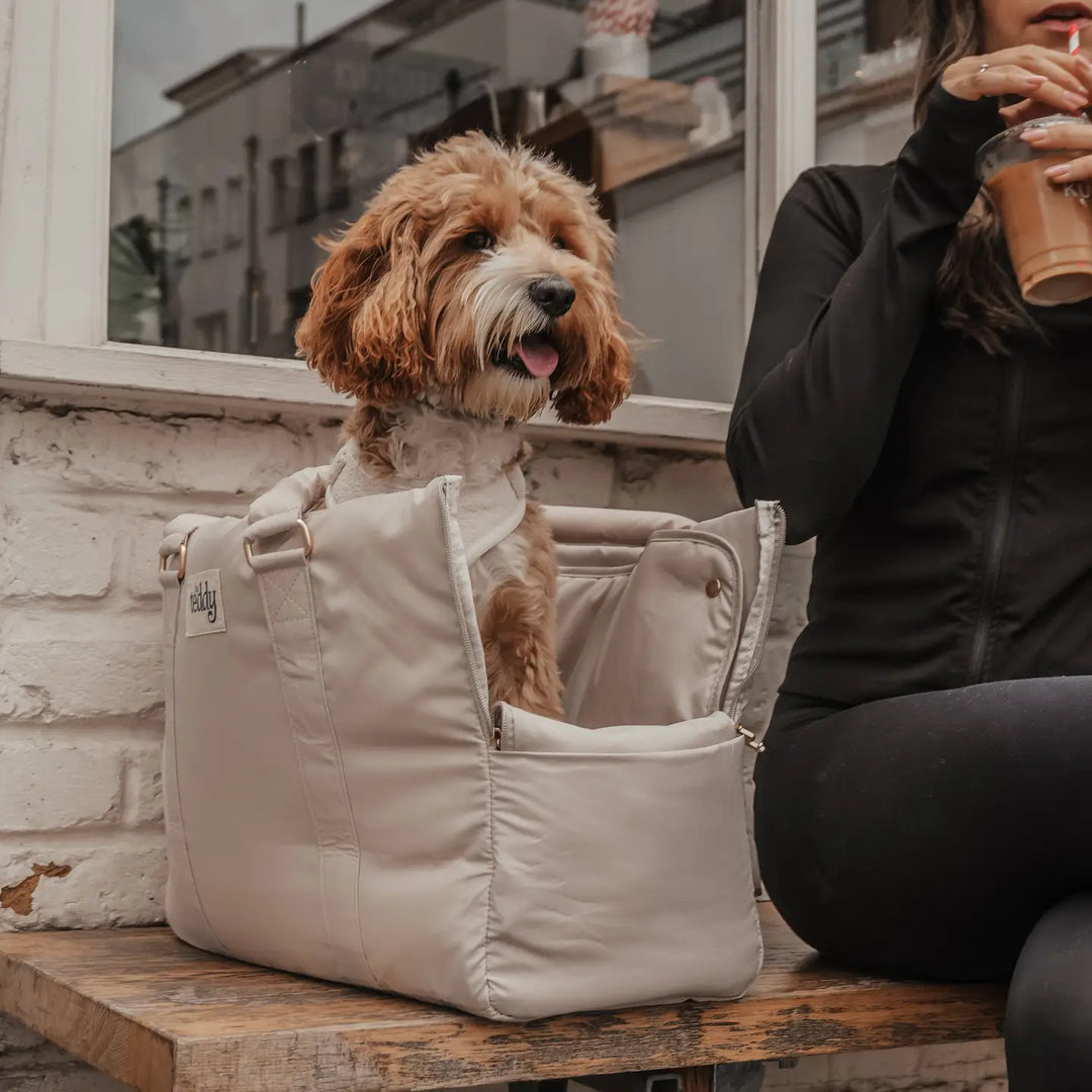 ByTeddy Hazelnut┃the Puffer Carrier