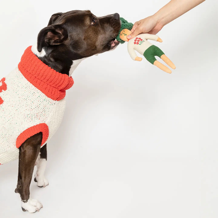 Flower Hooman Nose Work Toy