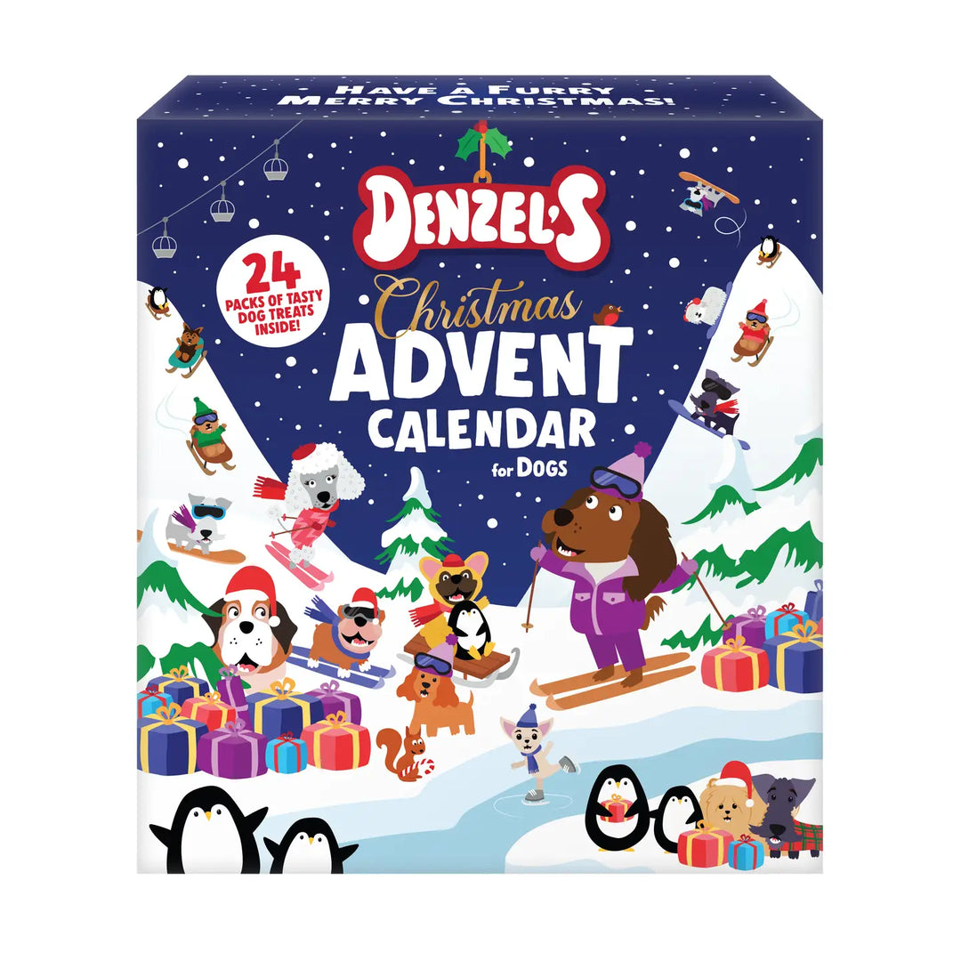 Christmas Advent Calendar For Dogs