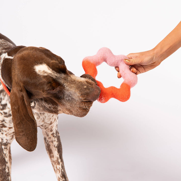 Awoo - Wiggle Ring Felt Toy