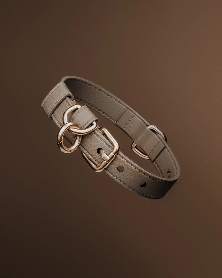 ByTeddy Hazelnut┃Studio Collar