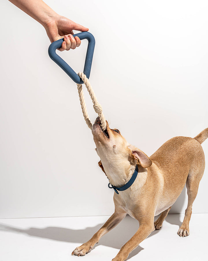 Wild One - Triangle Tug Dog Chew Toy: STANDARD