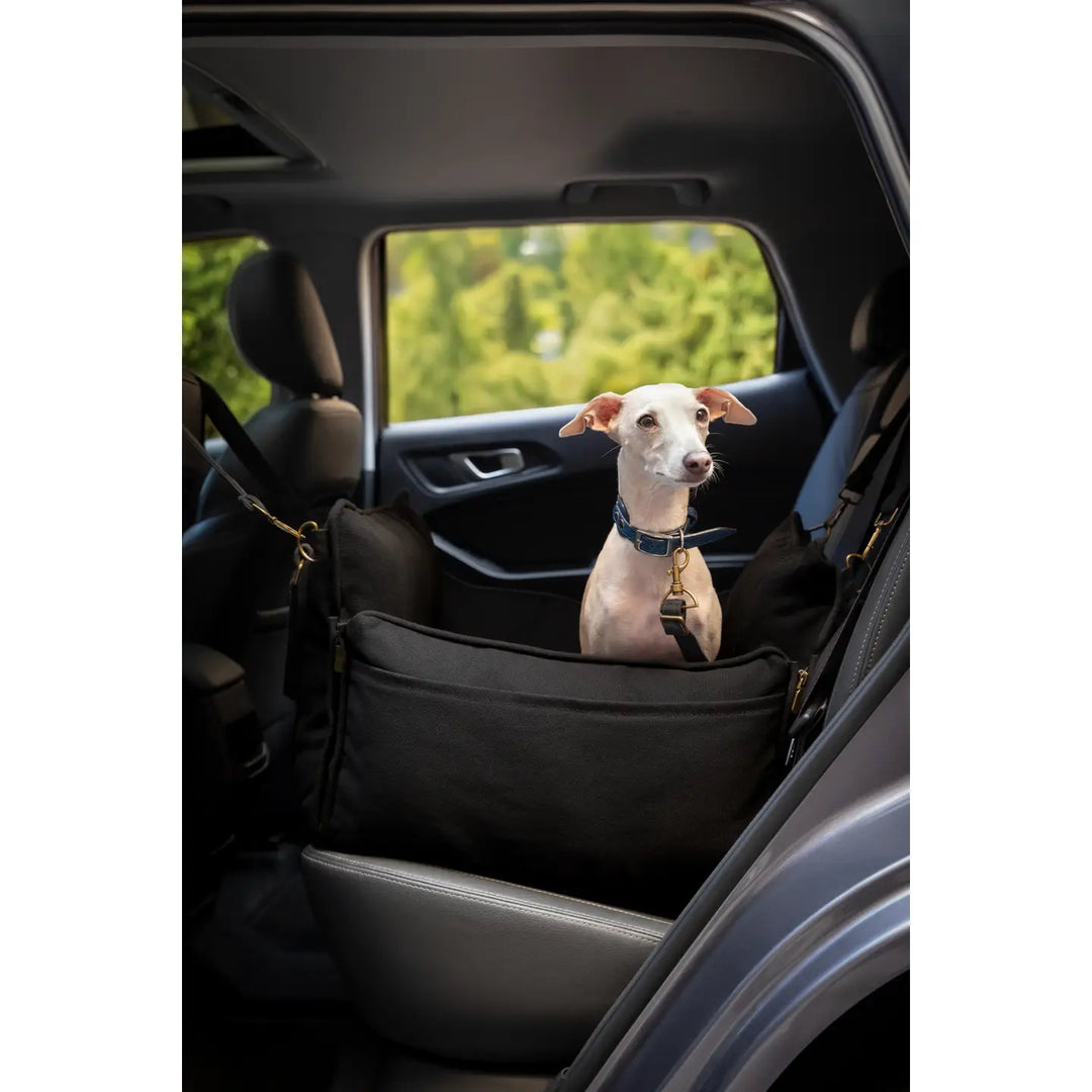 Dog Car Seat Carrier Orthopedic Crushed Foam, Black, Canvas