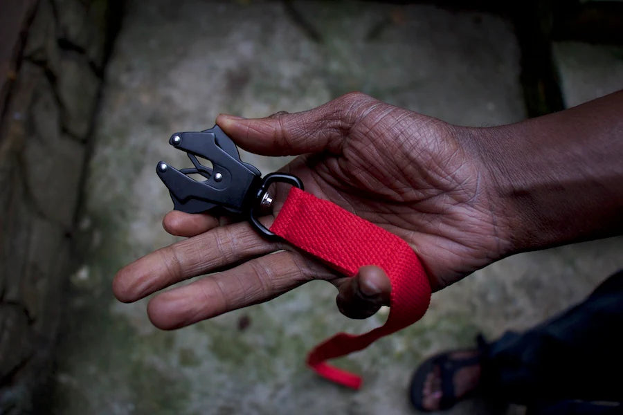 Hindquarters Red Lead