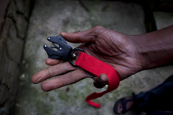 Hindquarters Red Lead