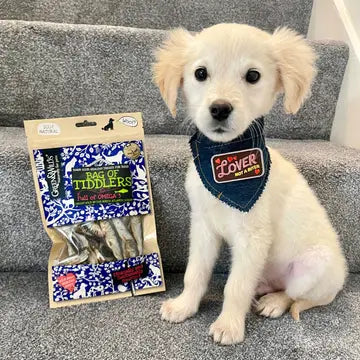 G&W Bag of Tiddlers (Dogs) 75g
