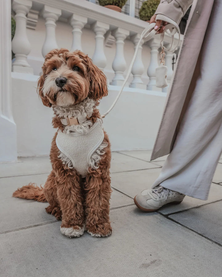 ByTeddy Marshmallow┃Bouclé Adjustable Harness