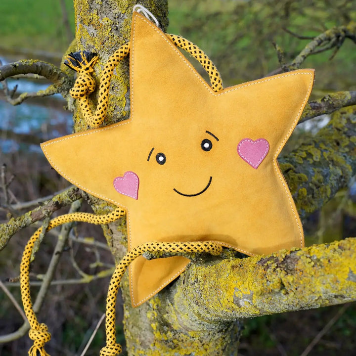 Star XL Dog and Horse Eco Toy