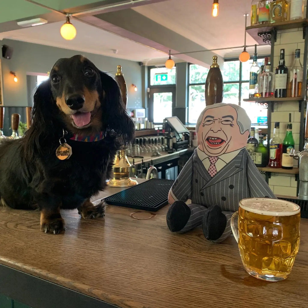 Nigel Dog Toy