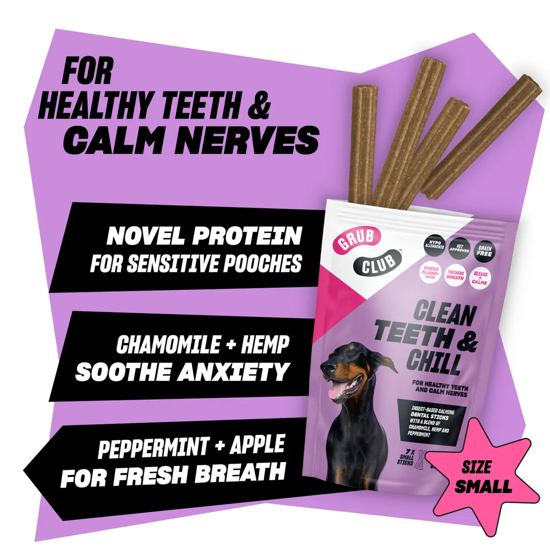 Clean Teeth & Chill (Small) - Calming Dental Sticks