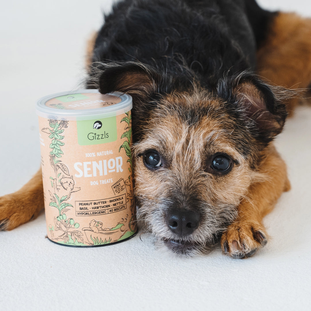 Gizzls - Botanicals Senior