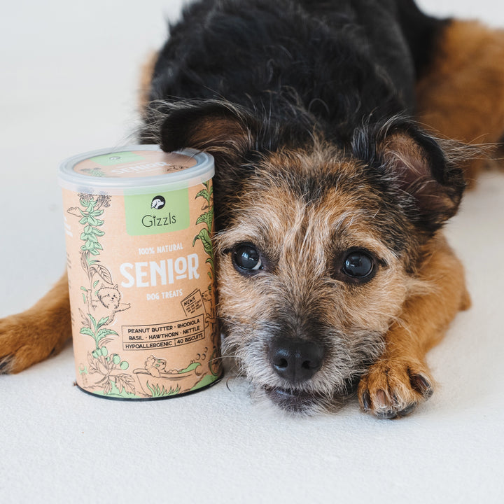 Gizzls - Botanicals Senior