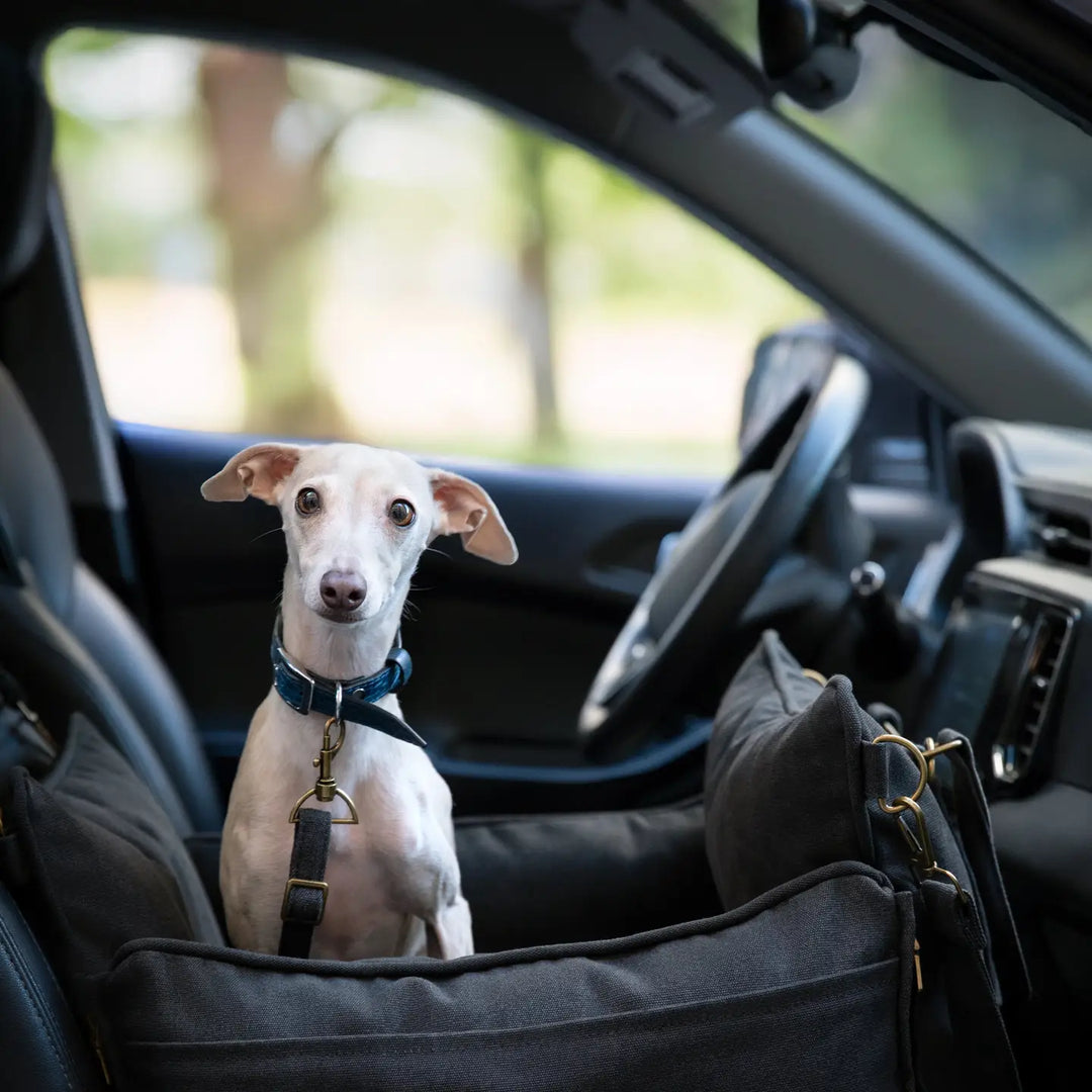Dog Car Seat Carrier Orthopedic Crushed Foam, Charcoal, Canvas