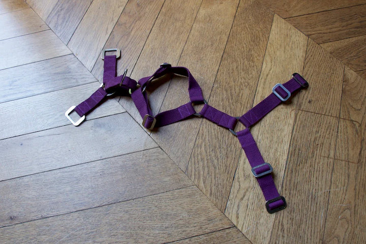 Hindquarters Plum Dog Harness