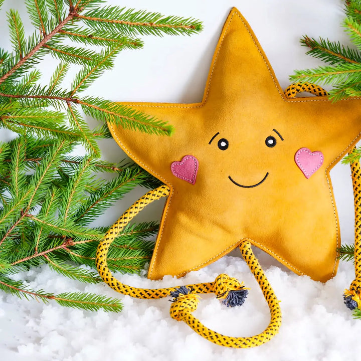 Star XL Dog and Horse Eco Toy