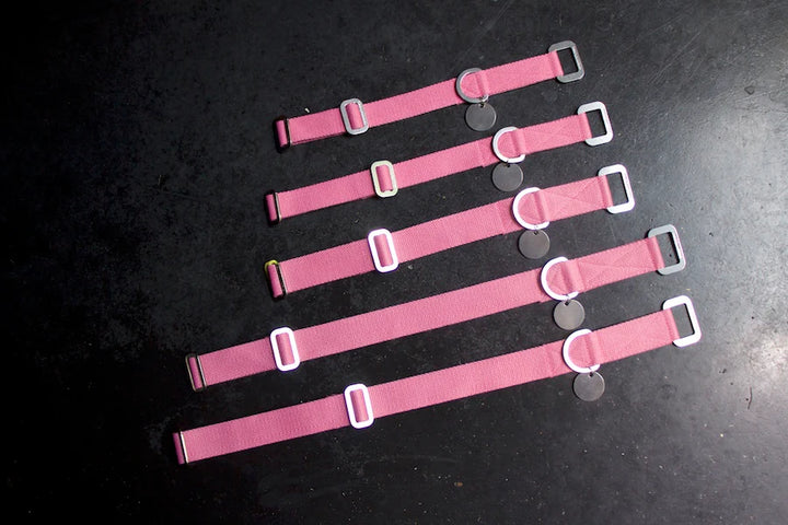 Hindquarters Pink Dog Collar