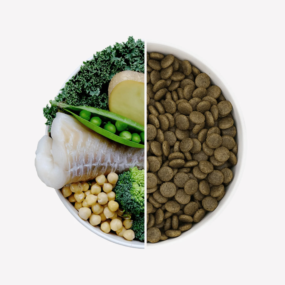 BECO Cod & Haddock Dry Food with Kale & Chickpeas 2kg
