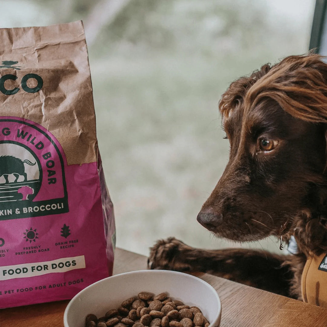 BECO Wild Boar Dry Food with Pumpkin & Broccoli 2kg