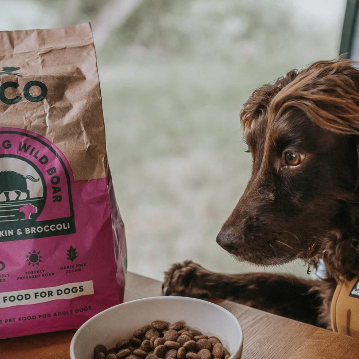 BECO Wild Boar Dry Food with Pumpkin & Broccoli 2kg