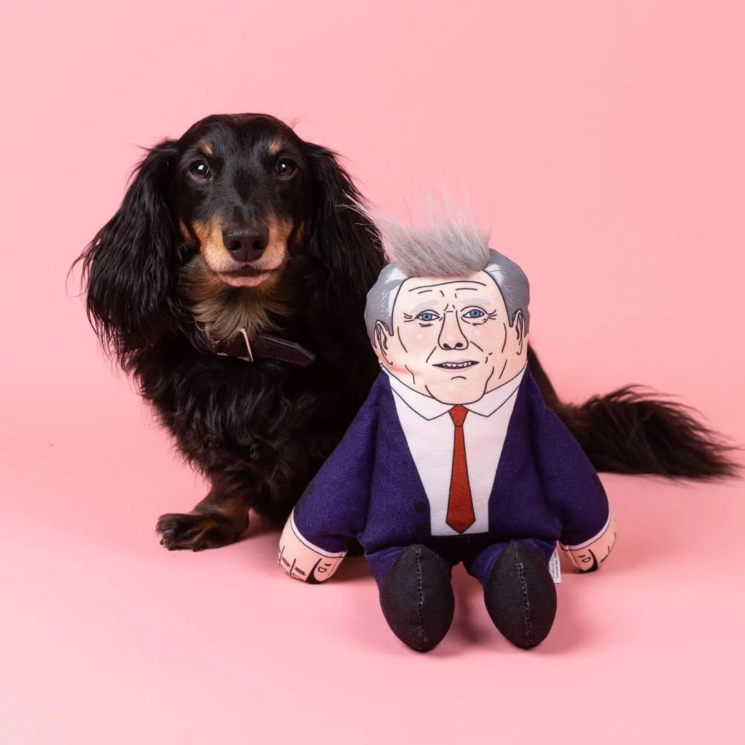 Keir Dog Toy