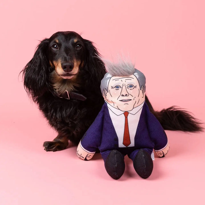 Keir Dog Toy