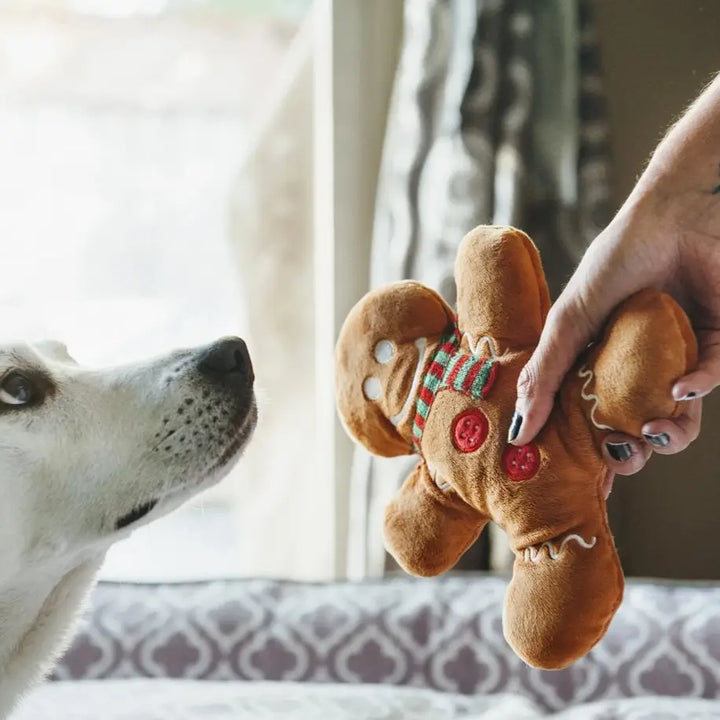 Christmas Gingerbread Man Plush Toy