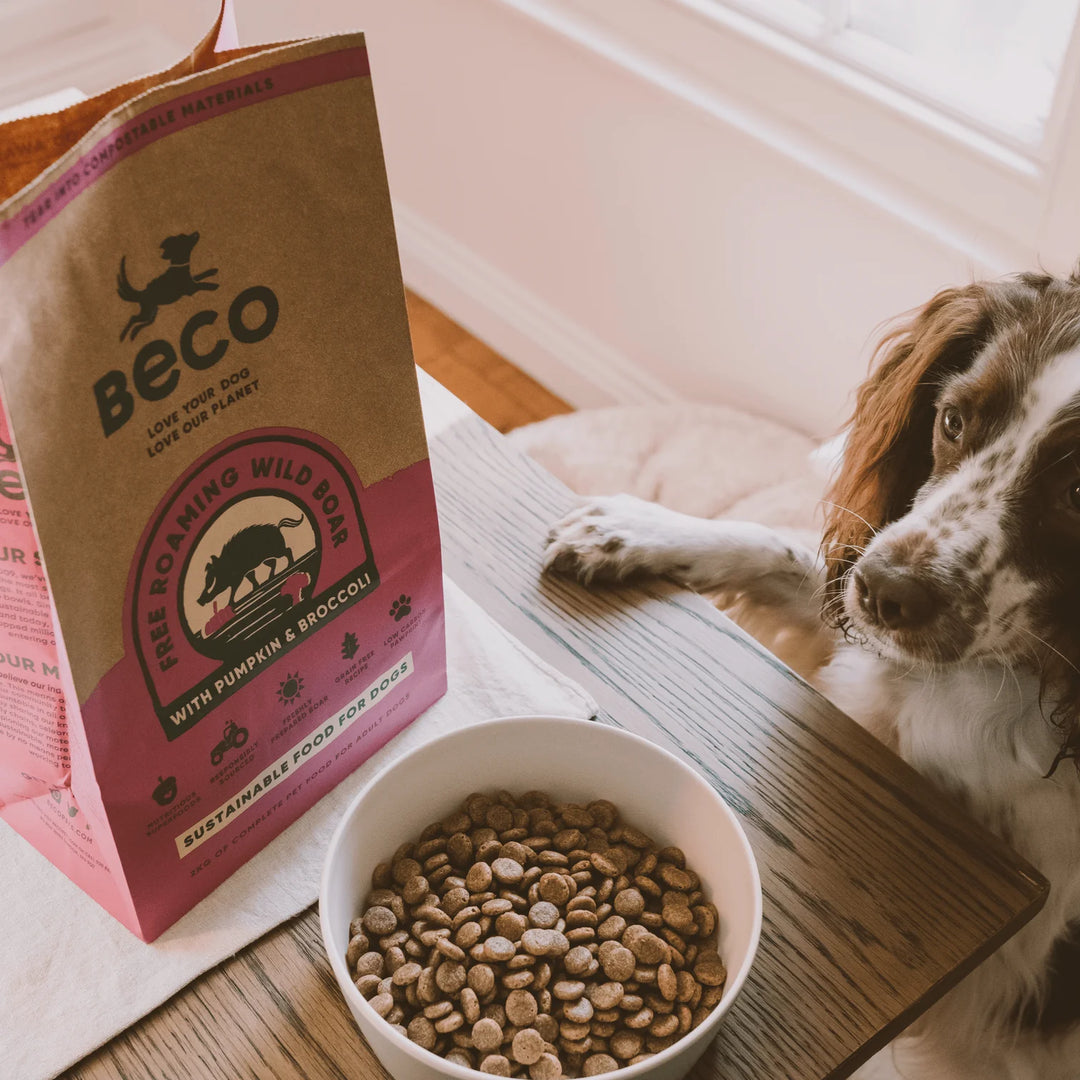 BECO Wild Boar Dry Food with Pumpkin & Broccoli 2kg