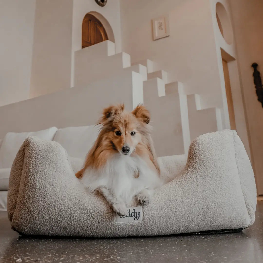 By Teddy The Cosy Bed