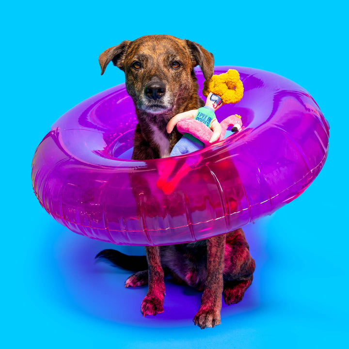 The Furry Folks - Flamingo Hooman Nosework Toy